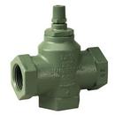 1-1/4 in. Cast Iron NPT Check Valve