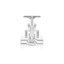 Velan Valve Carbon Steel Flanged Outside Globe Valve 