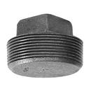 MPT Black Malleable Iron Plug 