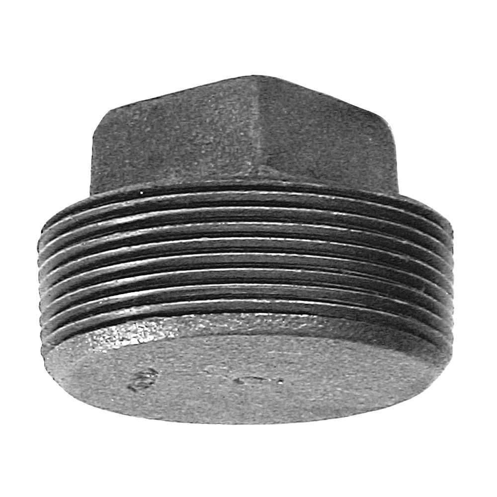 MPT Black Malleable Iron Plug 