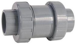 1 in. Plastic Union Socket Weld x Union Threaded Ball Check Valve