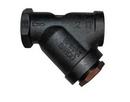 1" NPT IT Y-Type Strainer, Cast Iron, with 60-100 Mesh Screen