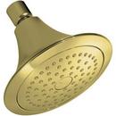 1-Function Showerhead in Vibrant Polished Brass