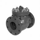 Mueller Company Cast Iron Flanged Swing Check Valve 