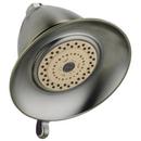Multi Function Showerhead in Brilliance® Stainless