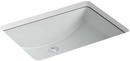 23-1/4 x 16-1/4 in. Rectangular Undermount Bathroom Sink in Ice™ Grey