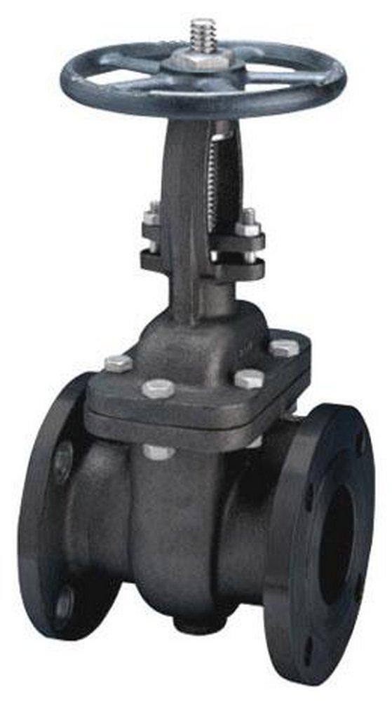 FNW® Figure 551 4 in. 150# Flanged Carbon Steel Gate Valve with