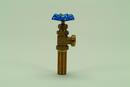 PROFLO&reg; MIP x Hose Boiler Drain Valve 