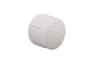 White FPT PVC Cap in White 