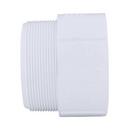 White PVC Schedule 40 Male Adapter 