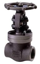 BONNEY FORGE CORPORATION 800# Thrd A105 T8 Gate Valve Full Port Bolted Bonnet Forged Steel 