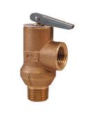 AGF Manufacturing Bronze MIPT x FIPT 175# Pressure Relief Valve 