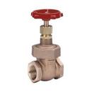 Milwaukee Valve Cast Iron Flanged Gate Valve 