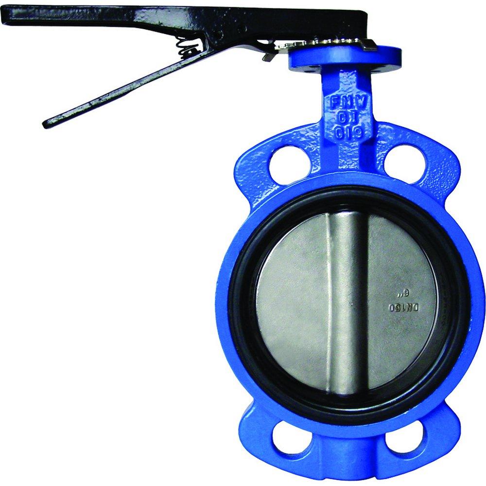 FNW&reg; Cast Iron Buna-N Lever Handle Butterfly Valve 
