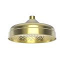 Newport Brass Uncoated Polished Brass - Living Single Wide and Rainfall Showerhead 