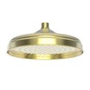 Newport Brass Forever Brass Single Function Rain and Wide Showerhead 