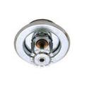 Tyco Chrome 1/2 in. 5.6K Horizontal Sidewall and Quick Response Sprinkler Head in Chrome Plated 
