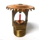 3/4 in. 286F 14K Upright Sprinkler Head in Natural Brass 