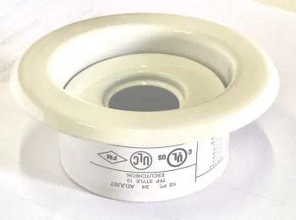 Tyco Signal White 2-7/8 x 1-15/16 x 1/2 in. NPT Painted Carbon Steel Escutcheon 