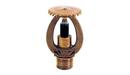 Tyco Natural Brass 1/2 in. 5.6K Standard Response and Upright Sprinkler Head in Natural Brass 
