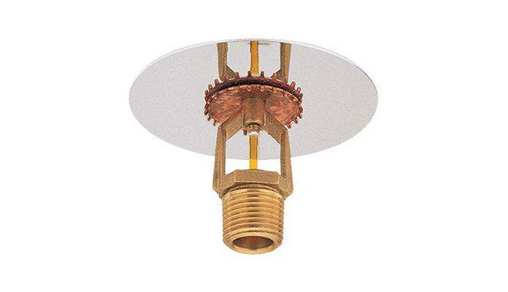 1/2 in. Brass TY-FRB 175 Quick Response Sprinkler Head Upright 