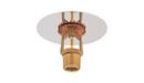 1/2 in. Brass TY-FRB 175 Quick Response Sprinkler Head Upright 