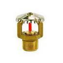 3/4 in. 286F 16.8K Standard Response and Upright Sprinkler Head in Natural Brass