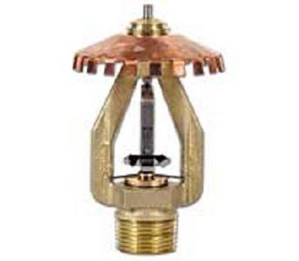 Tyco Natural Brass 3/4 in. 16.8K Upright Sprinkler Head in Natural Brass 