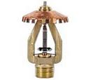 3/4 in. 165F 16.8K Upright Sprinkler Head in Natural Brass