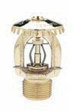 3/4 in. 286F 11.2K Standard Coverage, Response and Upright Sprinkler Head in Natural Brass