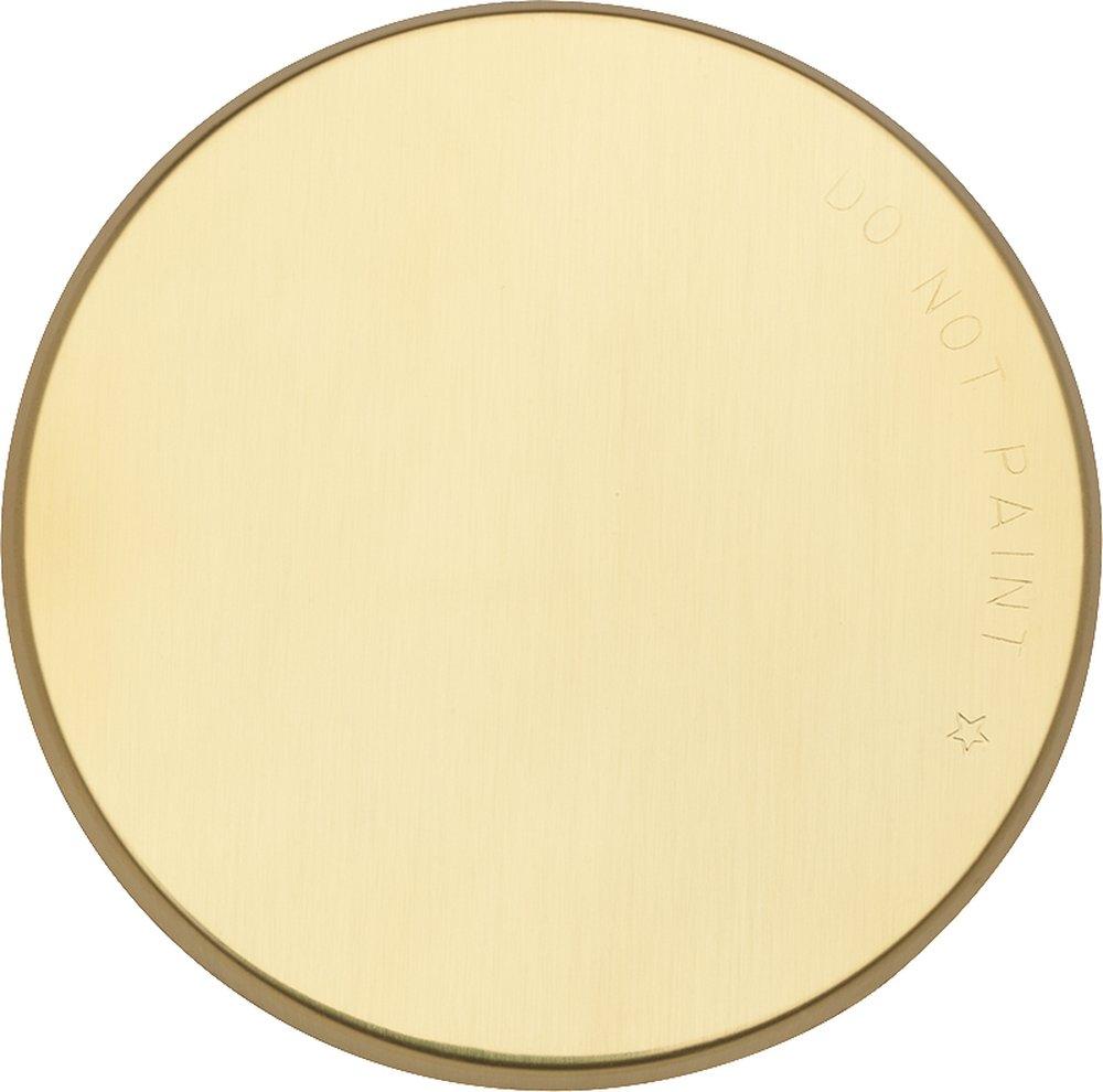 Tyco Bright Brass 3-1/4 in. Painted Brass Cover Plate 