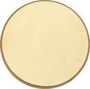 Tyco Bright Brass 3-1/4 in. Painted Brass Cover Plate 