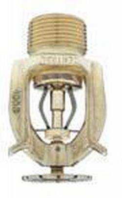 3/4 in. 165F 11.2K Pendent, Standard Coverage and Standard Response Sprinkler Head in Natural Brass