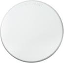 Tyco Grey White 3-1/4 in. Painted Brass Cover Plate 