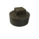 Tyco 300# Ductile Iron Plug in Black 