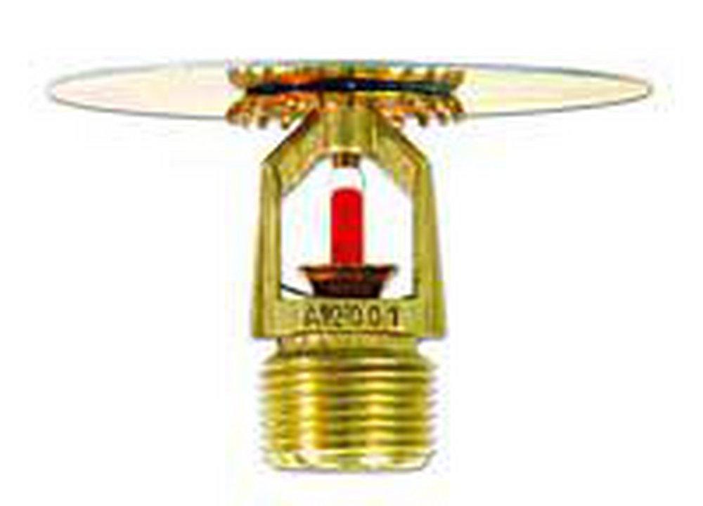 Tyco Natural Brass 1/2 in. 360F 5.6K Shield, Standard Response and Upright Sprinkler Head 