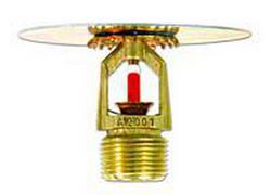1/2 in. 360F 5.6K Shield, Standard Response and Upright Sprinkler Head in Natural Brass