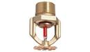 Tyco Natural Brass 3/4 in. 155F16.8K Standard Response and Upright Sprinkler Head in Natural Brass 