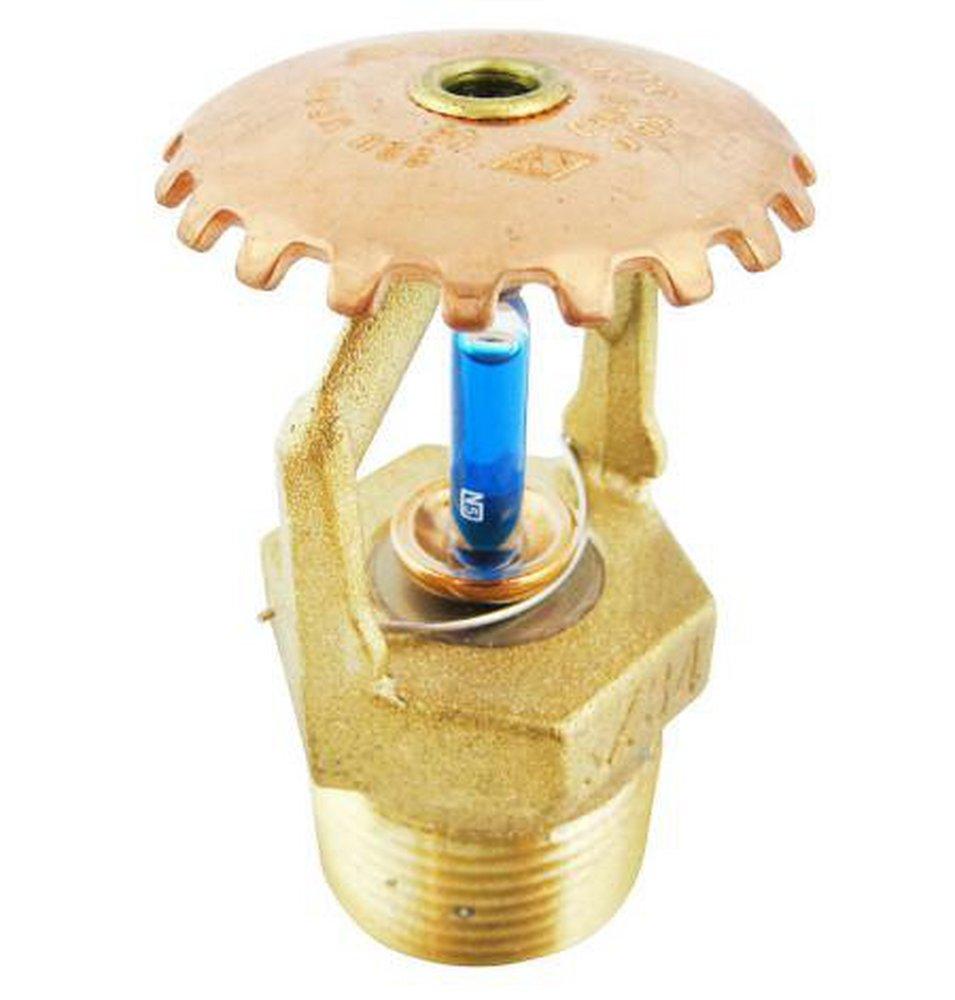 Tyco Blue 3/4 in. 11.2K Standard Response Upright Sprinkler Head in Blue 