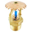 Tyco Blue 3/4 in. 11.2K Standard Response Upright Sprinkler Head in Blue 