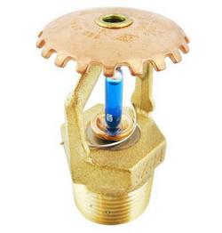 3/4 in. 286F 11.2K Standard Response Upright Sprinkler Head in Blue