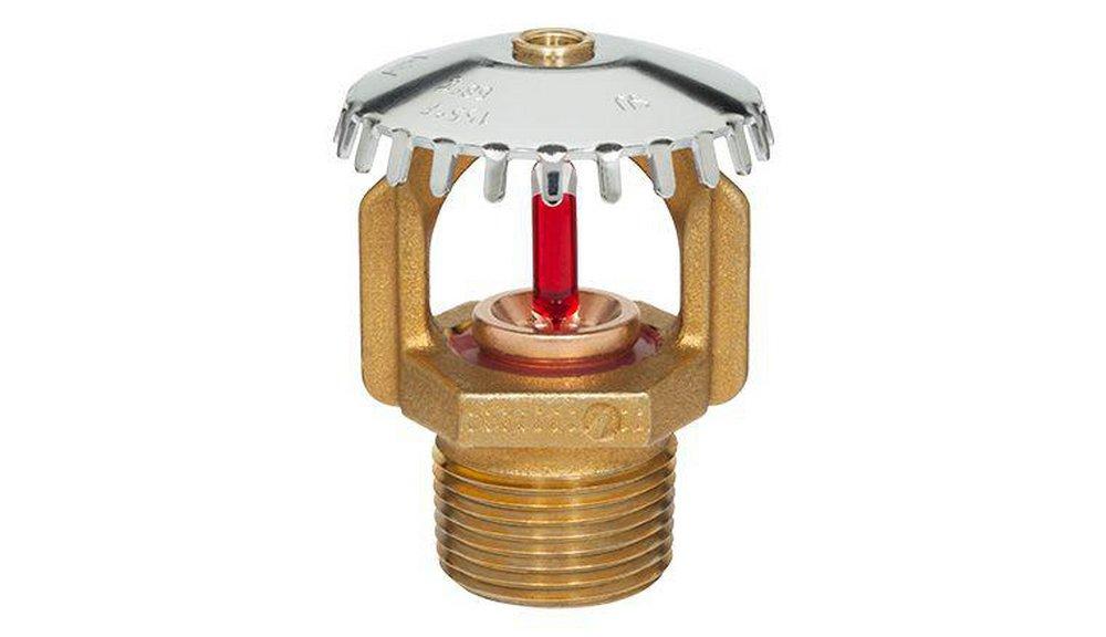 Tyco Natural Brass 3/4 in. 16.8K Standard Response and Upright Sprinkler Head in Natural Brass 