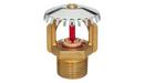 Tyco Natural Brass 3/4 in. 16.8K Standard Response and Upright Sprinkler Head in Natural Brass 