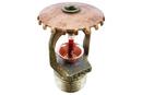 1/2 in. 286F 11.2K Standard Coverage, Response and Upright Sprinkler Head in Natural Brass