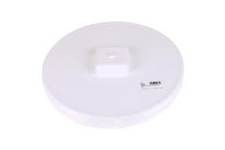 12 in. MPT and DWV Schedule 40 PVC Plug