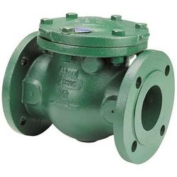 3 in. Ductile Iron Flanged Check Valve