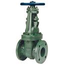 6 in. Ductile Iron Full Port Flanged Gate Valve
