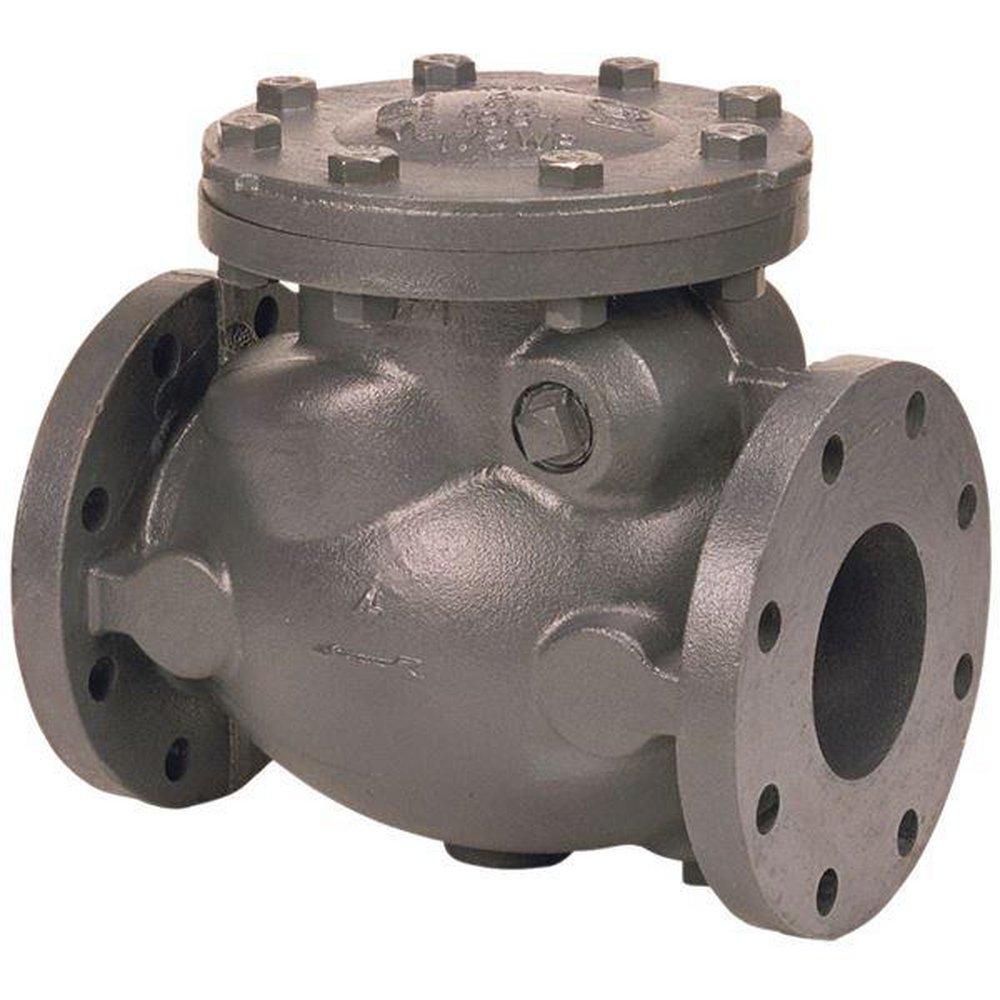 10 in. Cast Iron Flanged Swing Check Valve 