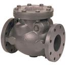 10 in. Cast Iron Flanged Swing Check Valve