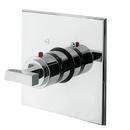 Square Thermostatic Trim Plate with Double Lever Handle in Polished Chrome